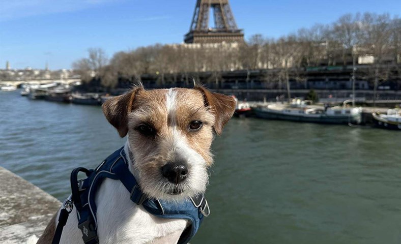 Lokaorð – frá sjónarhorni Lubba 