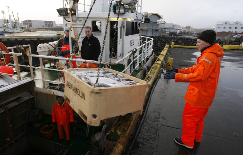 Skoða kaup á nýjum löndunarkrana í Grindavík