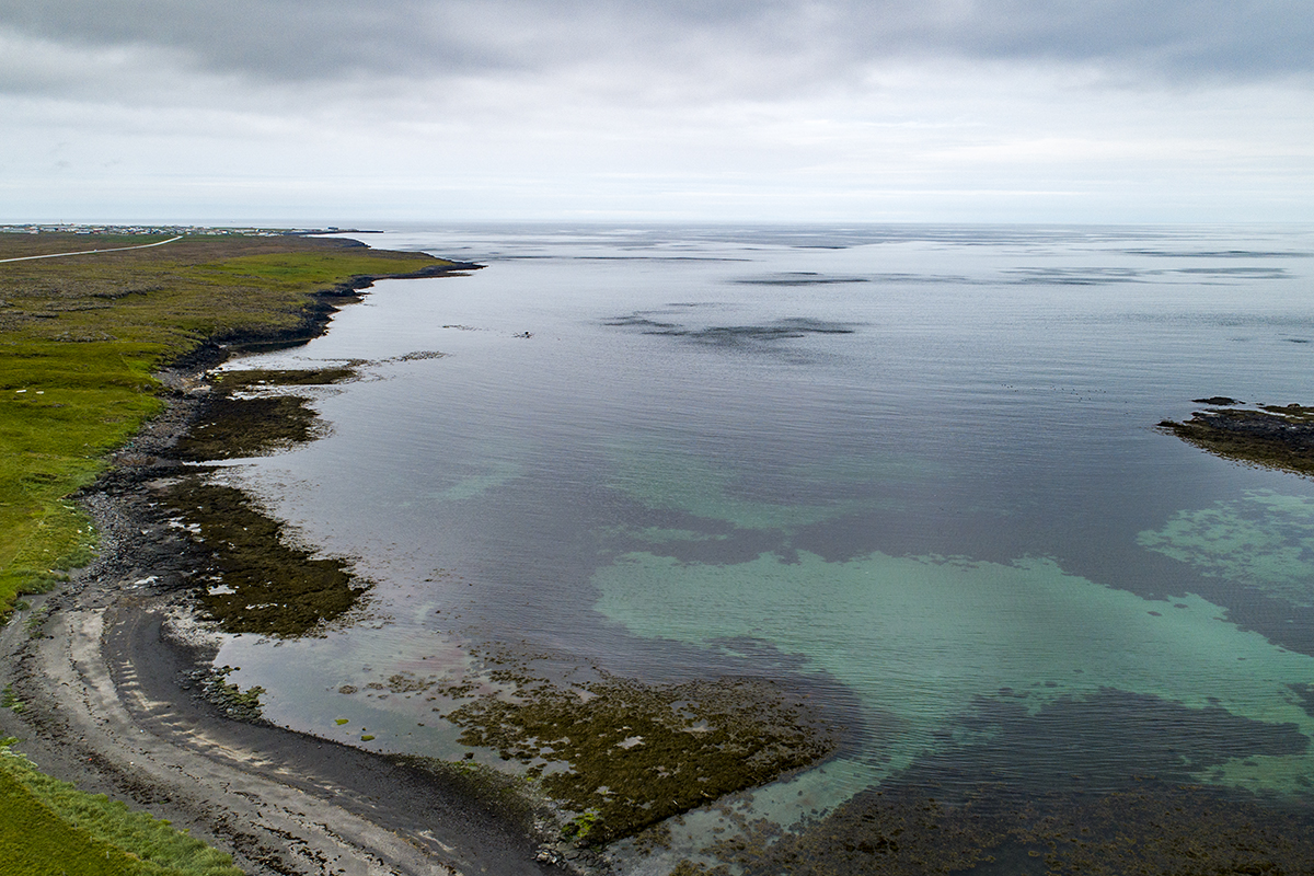 Makríllinn er mættur - sjórinn kraumar frá Garðskaga og að Vogastapa