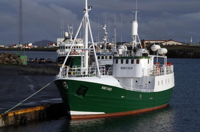 Fordæma minnkun hvalaskoðunarsvæðis
