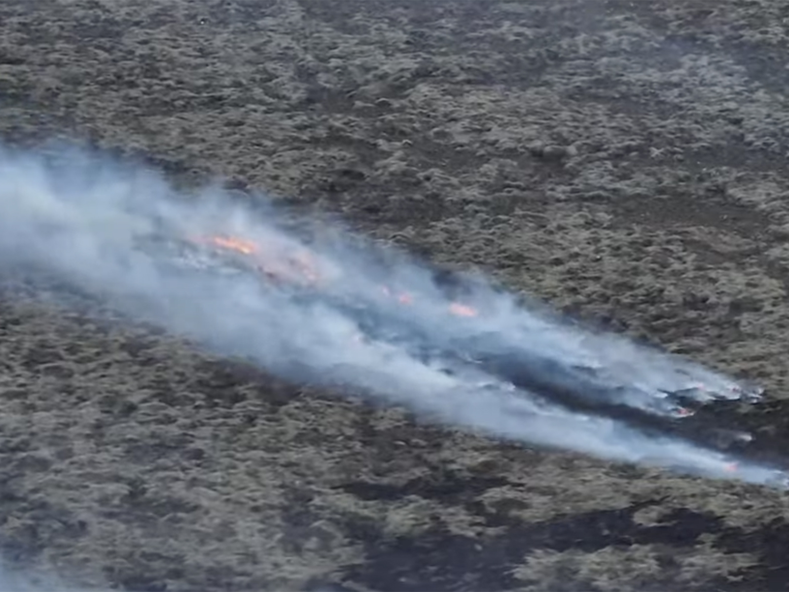 Gróðureldar við gosstöðvarnar