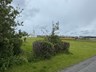 Frímúrarar geta tekið  Skrúðgarð Njarðvíkur í fóstur