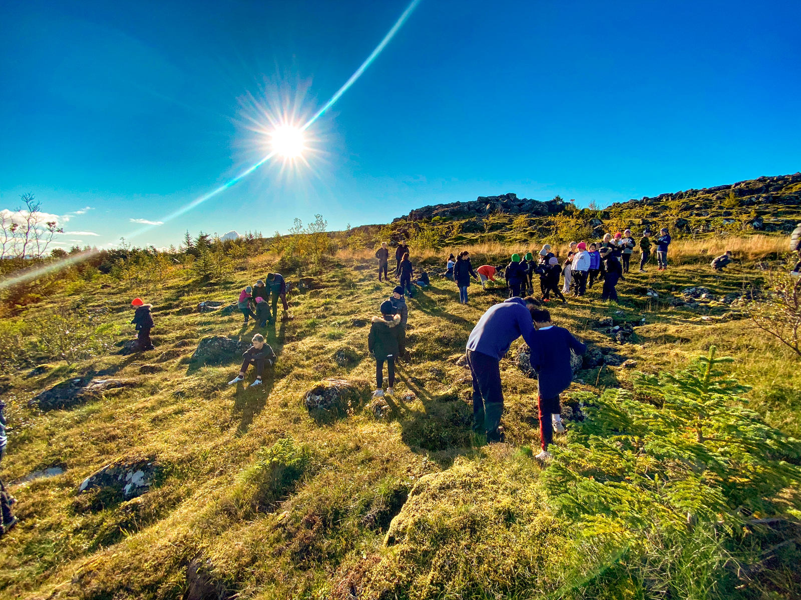 500 trjám plantað í Njarðvíkurskógi