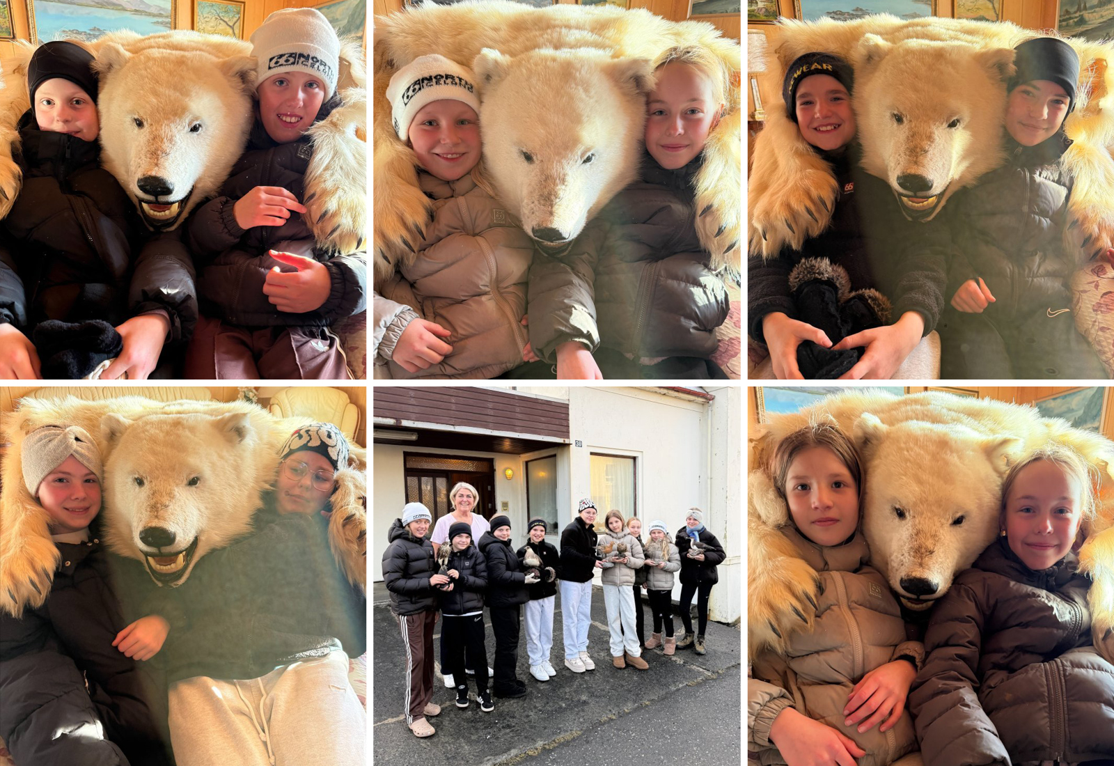 Uppstoppaðir fuglar og ísbjarnarhamur til Njarðvíkurskóla