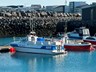 Nýtt upphaf eftir hrygningarstopp