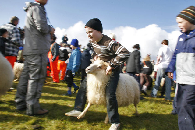 Þórkötlustaðaréttir í Grindavík á laugardag