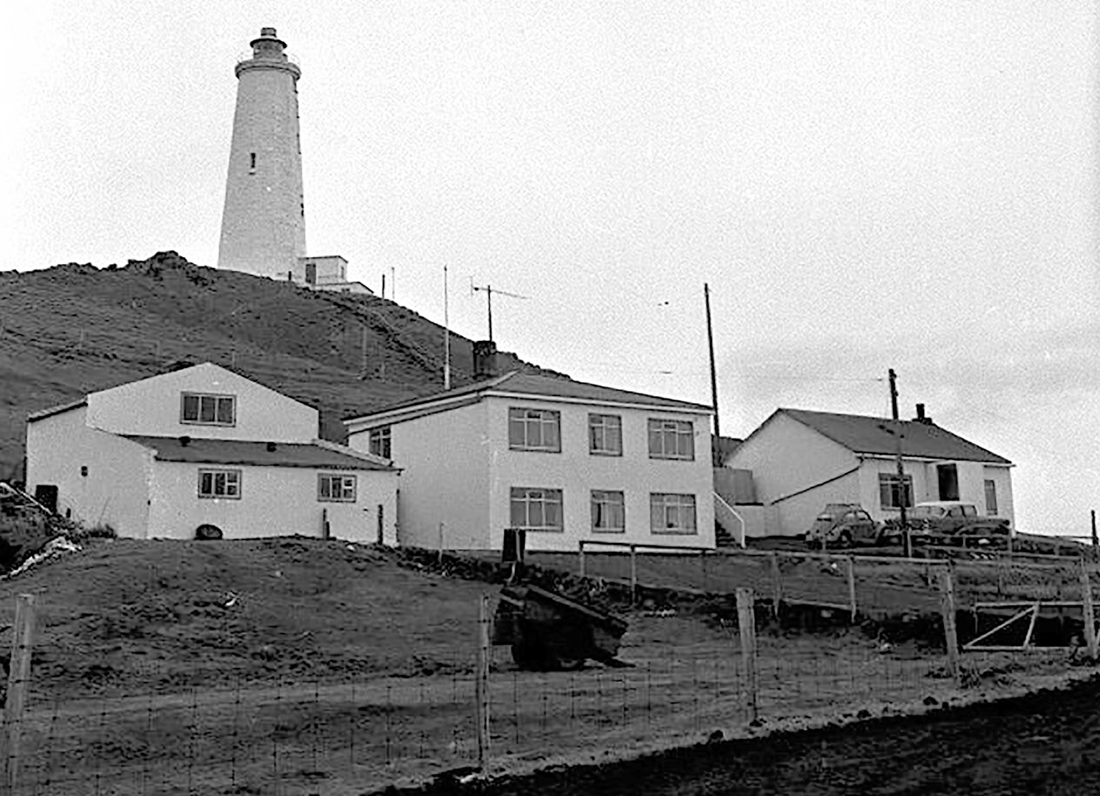 Leiðarljós  í lífhöfn