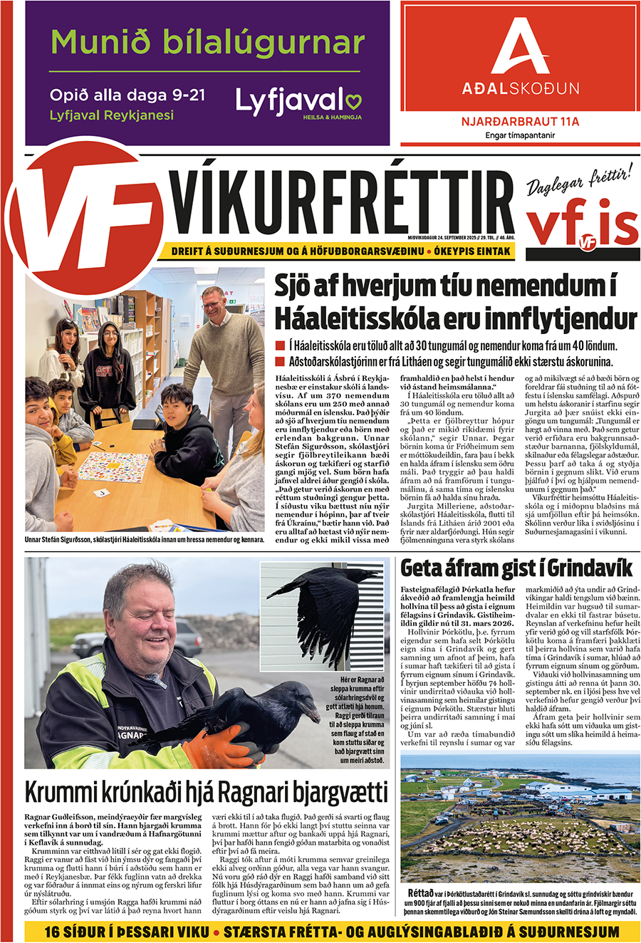 Víkurfréttir 29. tbl. 46. árg.