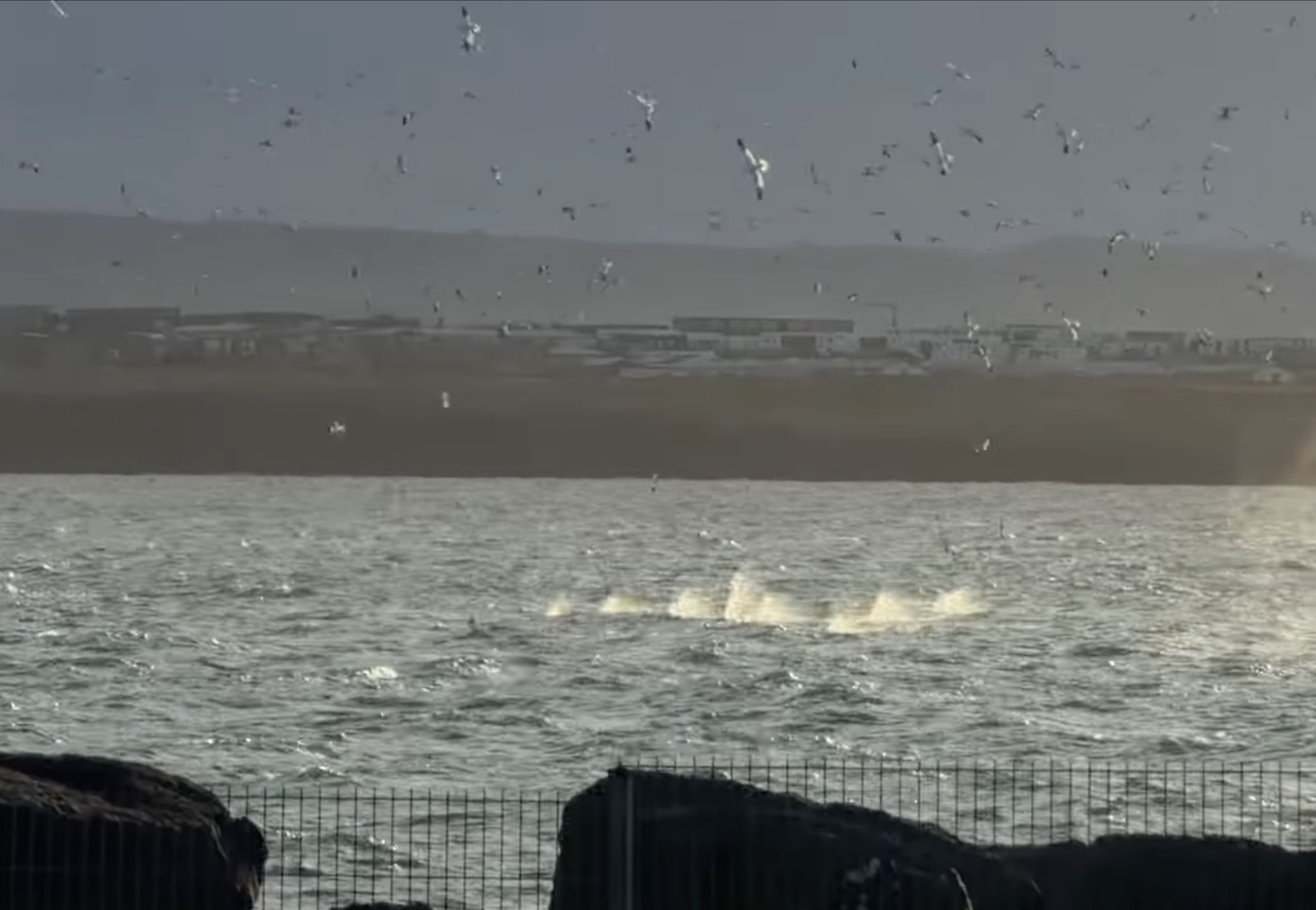 Magnað að fylgjast með súlukasti við Keflavíkurhöfn