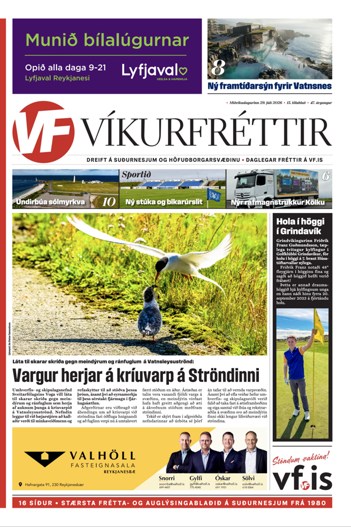 Víkurfréttir 15. tbl. 47. árg.