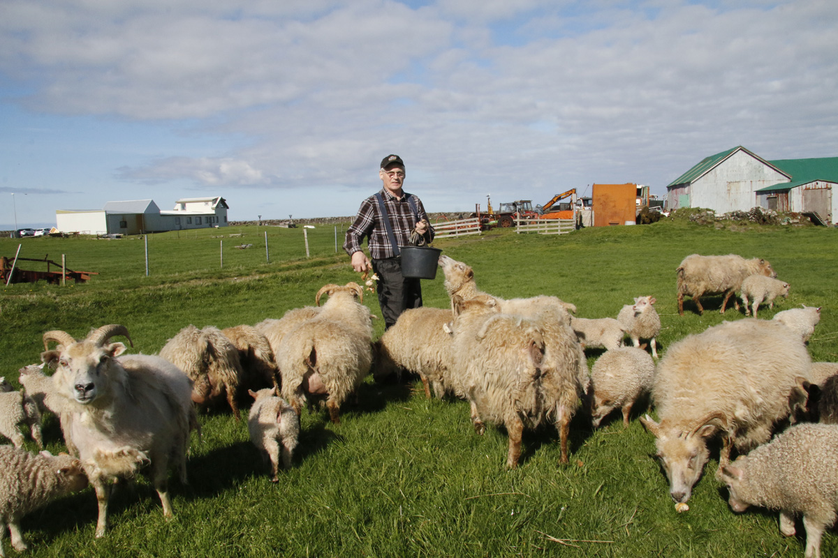 Draumur að vera með lítinn búskap