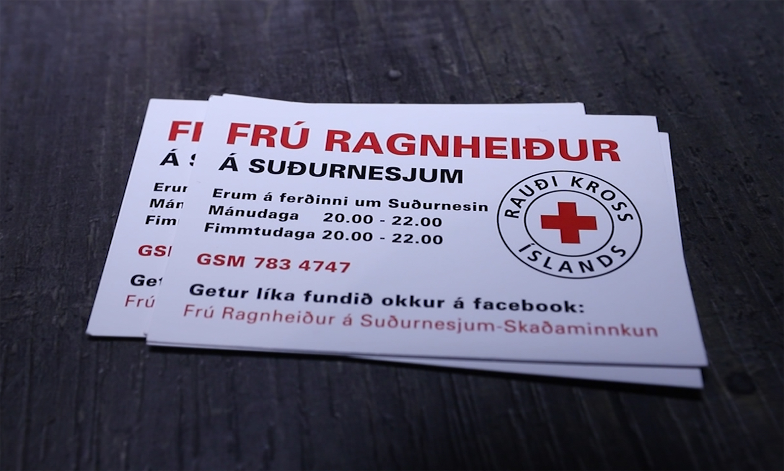 Um 40 einstaklingar nota þjónustu Frú Ragnheiðar á Suðurnesjum