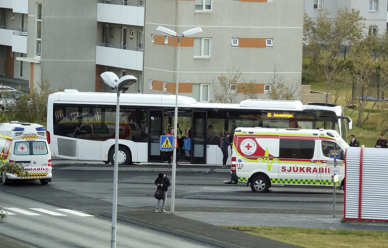 Strætóbílstjóri bitinn í höfuðið