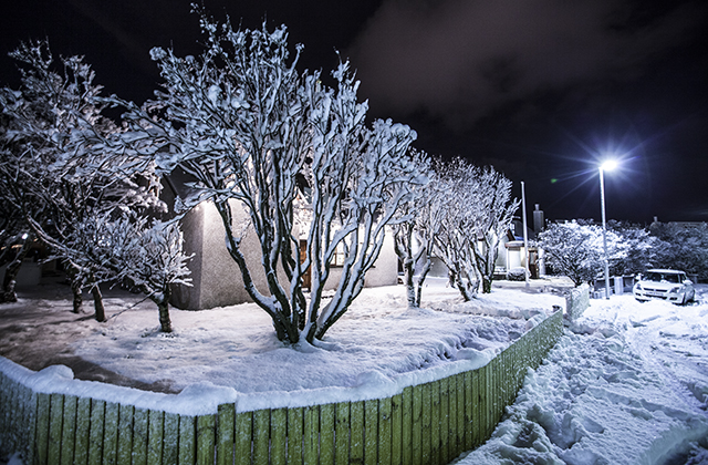 Vægt frost