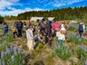 Um 30 þúsund tré og plöntur gróðursett í Reykjanesbæ í sumar