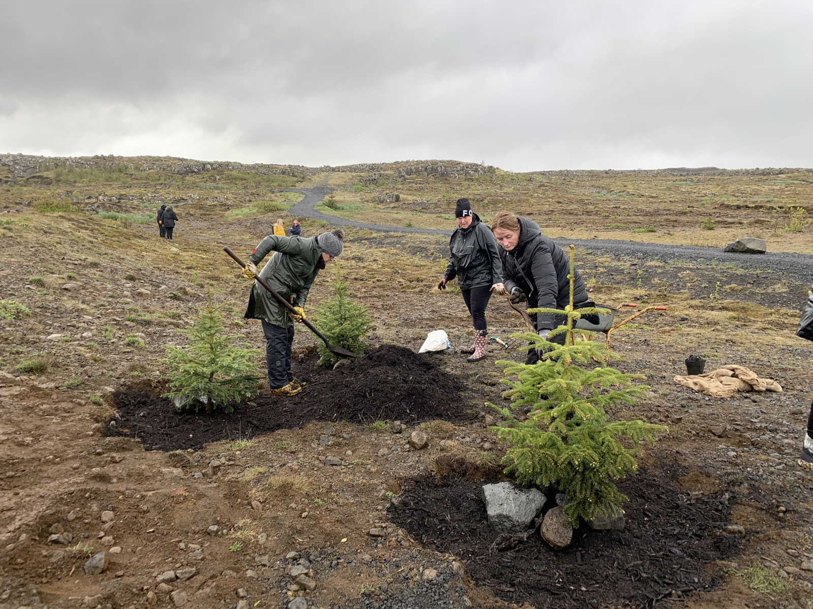 Gróðursettu 100 tré á 100 ára afmæli