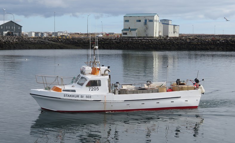 Hálfgert mok á miðunum