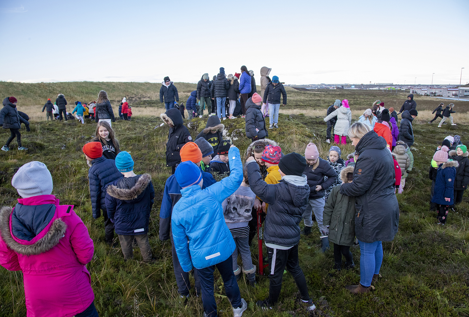 Stapaskólabörn gróðursetja tré við Reykjanesbraut