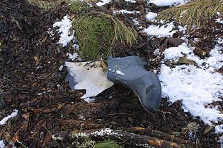 Fetað til framtíðar í fjörunni