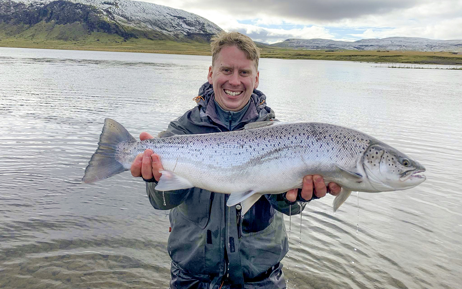 Nánast hnöttóttur birtingur