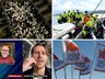 Skólamatur, Fisktækniskóli, Arnór Ingvi og réttir í Suðurnesjamagasíni
