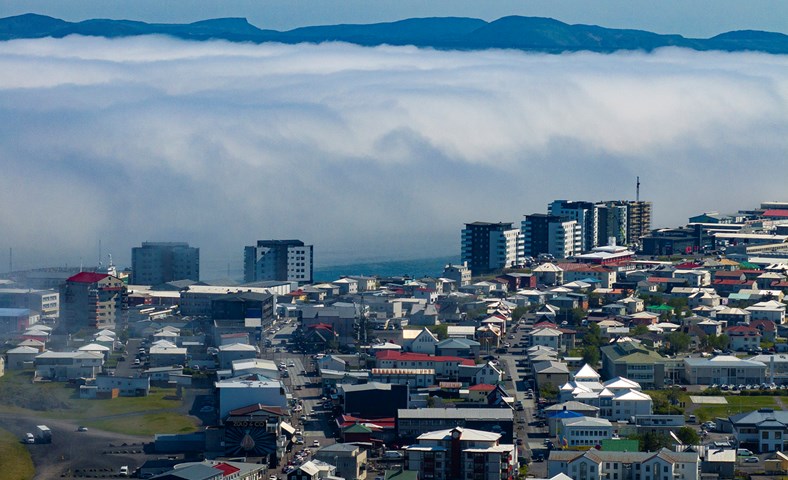 Opnaðu bókhaldið, Halldóra Fríða