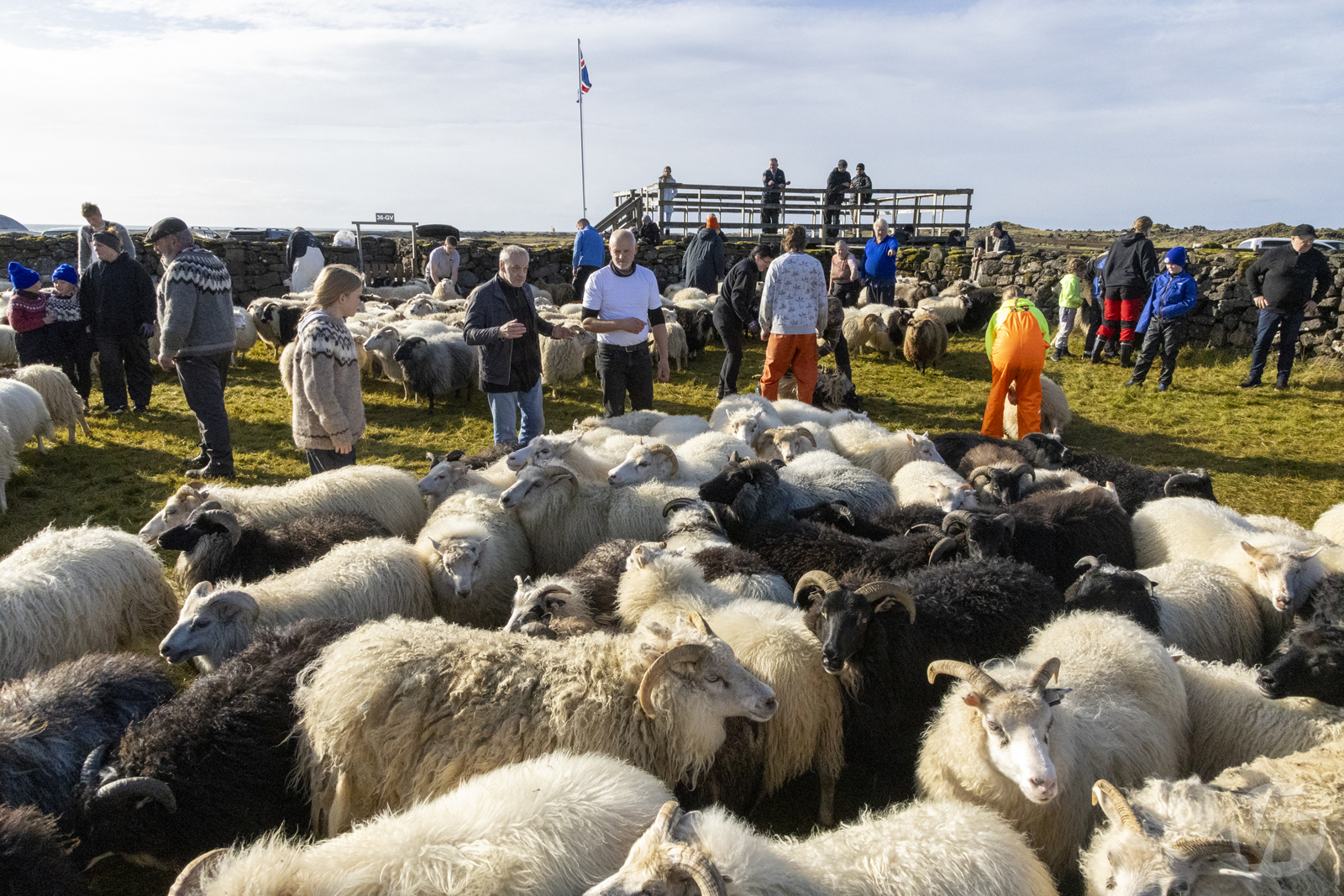 Kolniðamyrkur þegar féð kom að rétt