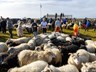 Kolniðamyrkur þegar féð kom að rétt
