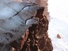 Sprungur og jarðsig kölluðu á auknar öryggisráðstafanir við Valahnúk og Brú milli heimsálfa