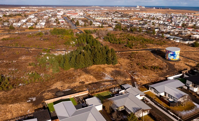 Hugsjón verður til