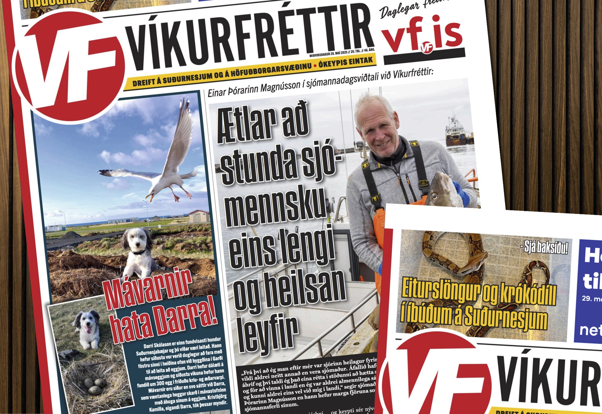 Lífsreynslusaga og eiturslöngur í Víkurfréttum vikunnar