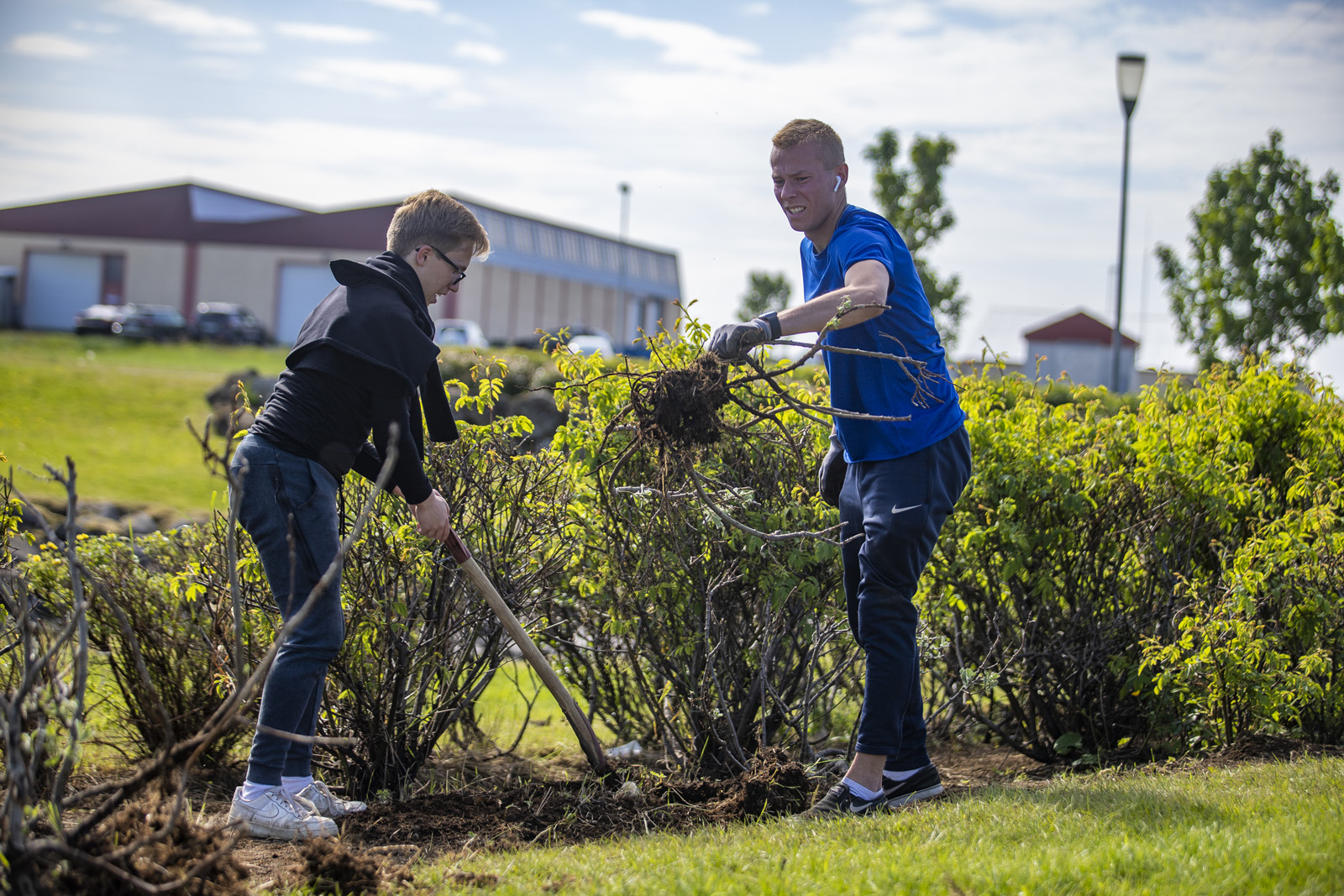 Gróðurinn fékk dekur í Sandgerði