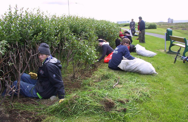 Vinnuskóli Reykjanesbæjar 2011